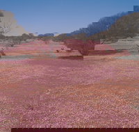 Meekatharra - Accommodation Yamba