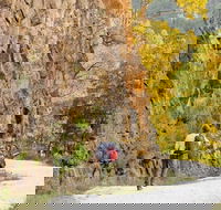 Old Great North Road - World Heritage Walk - Accommodation Yamba
