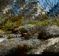 Pallaibo walking track - Accommodation Yamba