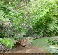 Pirianda Gardens - Accommodation Yamba