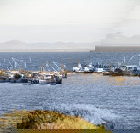 Portarlington - Accommodation Yamba
