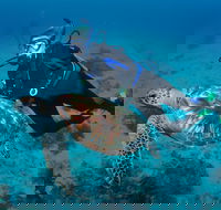 Second Reef Dive Site - Accommodation Yamba
