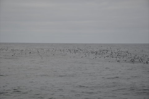 Settlement Point Viewing Platform - Accommodation Yamba 1