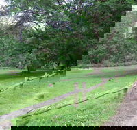 St Albans Reserve - Accommodation Yamba