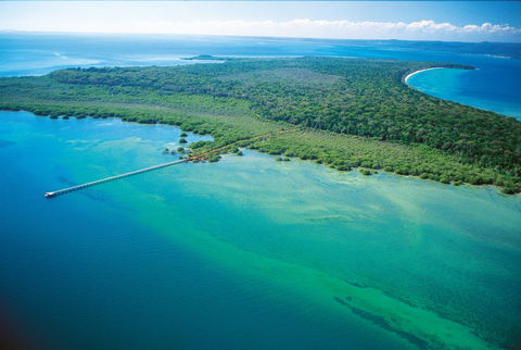 Teerk Roo Ra National Park (Peel Island) - Accommodation Yamba 1
