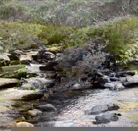 Thredbo River Track - Accommodation Yamba
