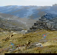 Thredbo Mountain Biking - Accommodation Yamba