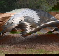 Underwater Marine Sculptures - Accommodation Yamba