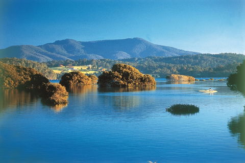 Wagonga Picnic Area - Accommodation Yamba 0