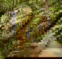 William Ricketts Sanctuary - Accommodation Yamba