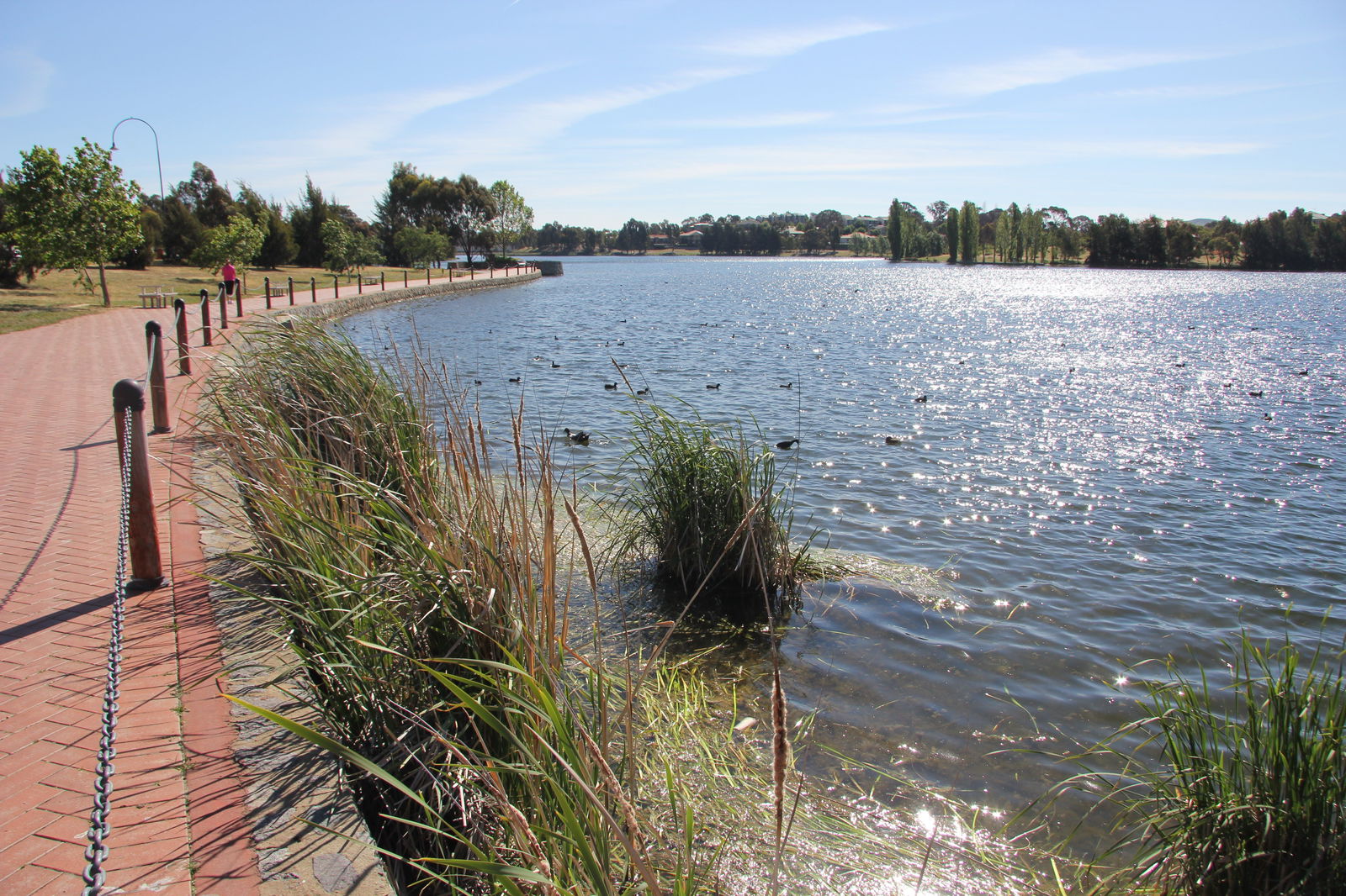 Harrison ACT Accommodation Yamba