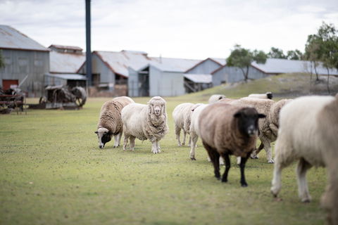 14 Day Gems Of The Outback - Accommodation Yamba 2