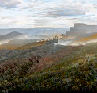 Badgerys Spur Walking Track - Accommodation Yamba