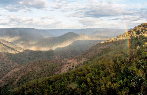 Badgerys Spur Walking Track - Accommodation Yamba 0
