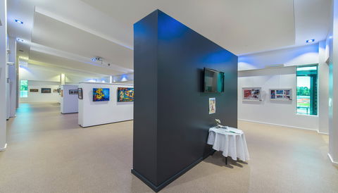 Banana Shire Regional Art Gallery - Accommodation Yamba 0