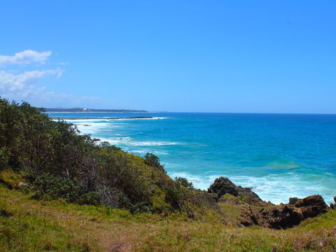 Bare Point - Accommodation Yamba 1
