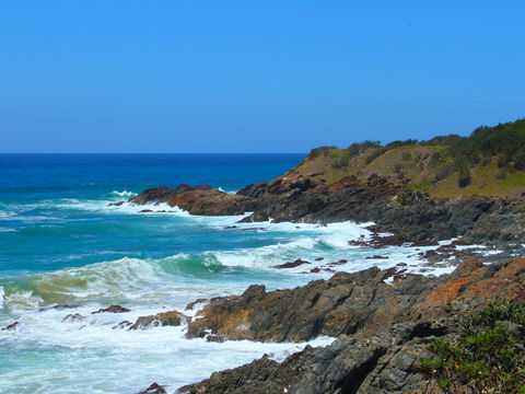Bare Point - Accommodation Yamba 2