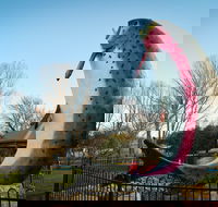 Big Trout - Accommodation Yamba