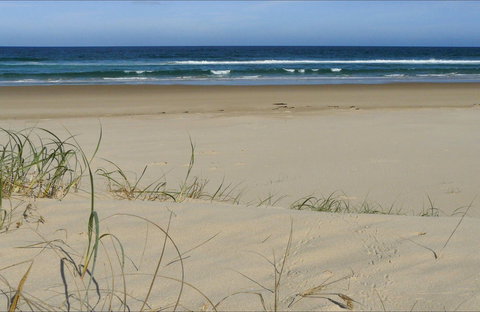 Bongil Beach - Accommodation Yamba 0