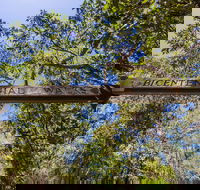 Bribie Island Bicentennial Trails - Accommodation Yamba