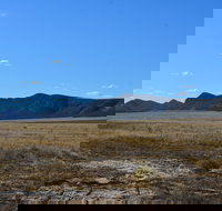 Darke Peak Scenic Drive - Accommodation Yamba