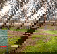 Gemmill Swamp Wildlife Reserve - Accommodation Yamba