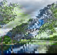 Gold Coast Regional Botanic Gardens - Accommodation Yamba