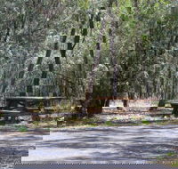 Goonoowigall State Conservation Area - Accommodation Yamba