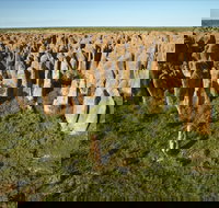 Gulf Region - Accommodation Yamba