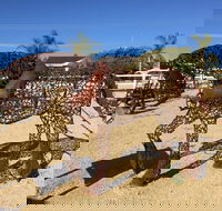 Gundersen Reserve - Accommodation Yamba