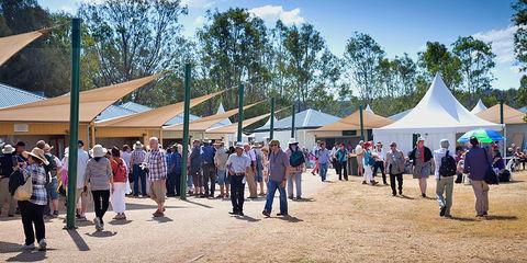 Ivory's Rock Conventions And Events - Accommodation Yamba 2