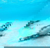 Jurien Bay - Accommodation Yamba