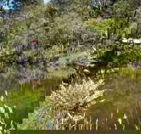 Kurth Kiln Regional Park - Accommodation Yamba