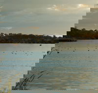 Lake Inverell Reserve - Accommodation Yamba