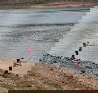 Lake Wyangala - Accommodation Yamba