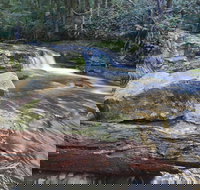 Liffey Falls Reserve - Accommodation Yamba