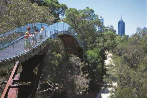 Lotterywest Federation Walkway - Kings Park - Accommodation Yamba 1