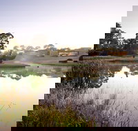 McClelland Sculpture Park  Gallery - Accommodation Yamba