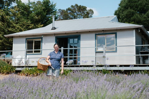 Nannup Lavender Farm - Accommodation Yamba 1