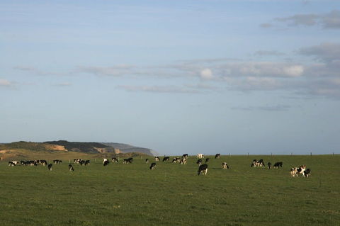 Port Campbell - Accommodation Yamba 2