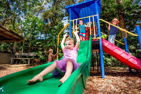 Reflections Boambee Creek Reserve - Accommodation Yamba 1