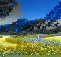 Shearer's Way - Accommodation Yamba