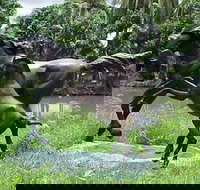 Summerland Antiques and Garden Centre - Accommodation Yamba