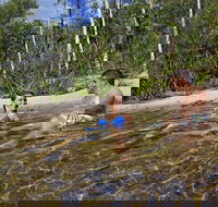 Tjaynera Falls Sandy Creek - Accommodation Yamba