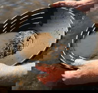 Tuena Panning for Gold - Accommodation Yamba
