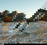 Venus Bay - Accommodation Yamba