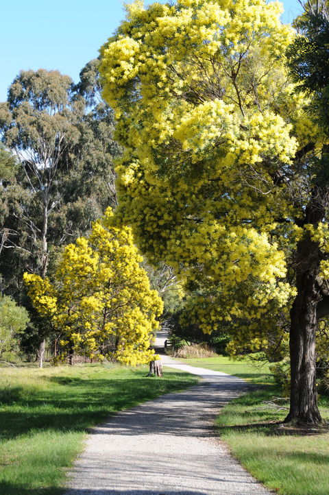 Wattle Park - Accommodation Yamba 0
