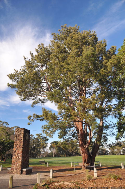 Wattle Park - Accommodation Yamba 2