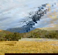 Weddin Mountains National Park - Accommodation Yamba