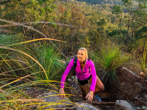 White Rock - Spring Mountain Conservation Estate - Accommodation Yamba 2